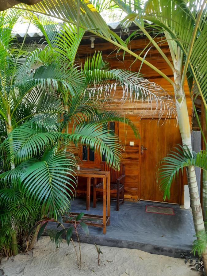 Eagle Resort Arugambay Arugam Bay Exteriér fotografie